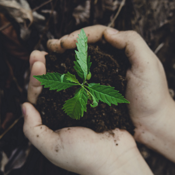 Natural Ingredient Nutrition